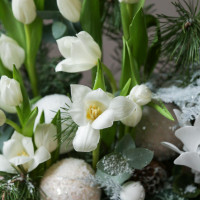 Зимняя композиция в натур. кашпо с белыми тюльпанами и хвоей