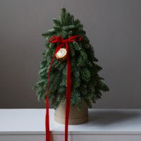 Елочка настольная из живой пихты в стиле минимализм с золотыми часами, 55 см