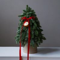 Елочка настольная из живой пихты в стиле минимализм с золотыми часами, 55 см