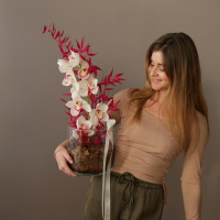 Орхидеи в вазон цилиндр ОГОНЬ