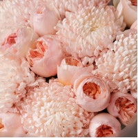 Букет * хризантем и пионовидных роз* ЗЕФИРНЫЙ