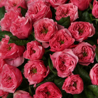 Монобукет пионовидных розовых роз, 35 шт