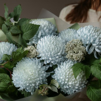 Букет ИНЕЙ, 7 голубых хризантем