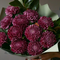 Букет винных хризантем с декоративной зеленью ВИНО ВЕРДЕ
