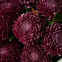 Букет винных хризантем с декоративной зеленью ВИНО ВЕРДЕ