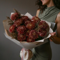 Букет винных хризантем ИН ВИНО ВЕРИТАС