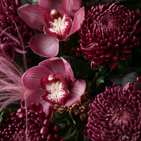 Дуо-букет * хризантем Бигуди и орхидей * Винный Нуар