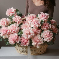 Корзина французских роз ПинкМондиаль, 27 шт. *