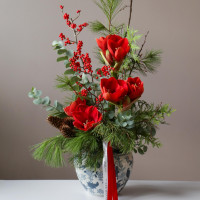 Рождественский * букет в вазоне с красными амариллисами, хвои и илексом *