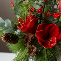 Рождественский * букет в вазоне с красными амариллисами, хвои и илексом *