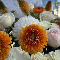 WOW-корзина CARPE DIEM