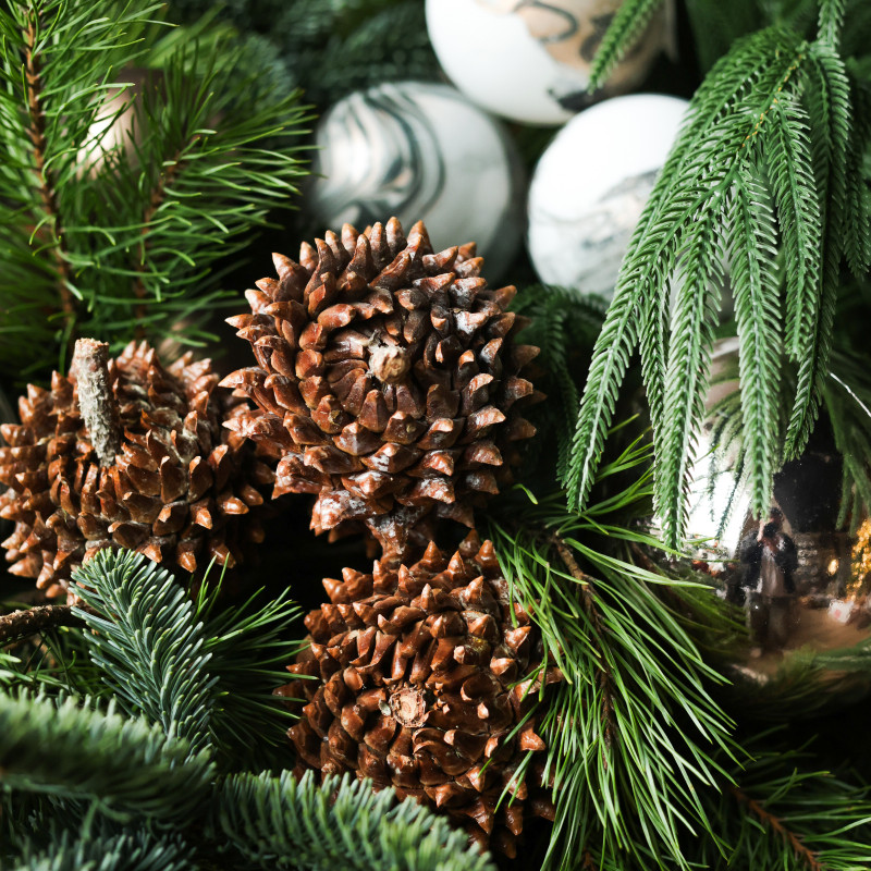 Композиция из живой хвои в бетонном кашпо с мраморными шариками и шишками