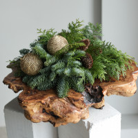 Уникальная композиция в спиле дерева