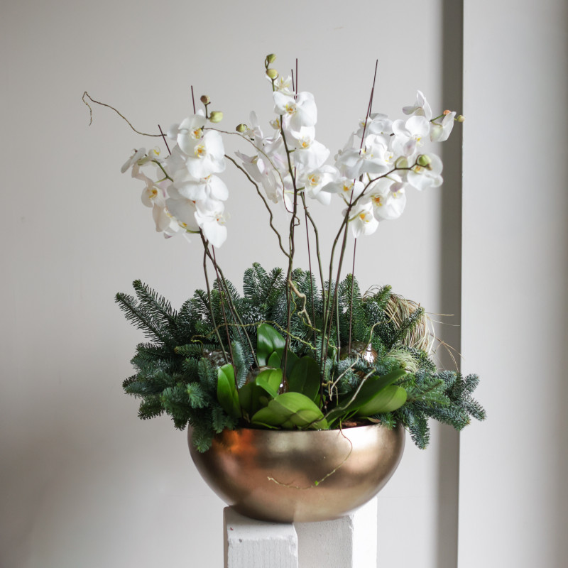 Орхидеи с натуральной хвоей в металлическом кашпо