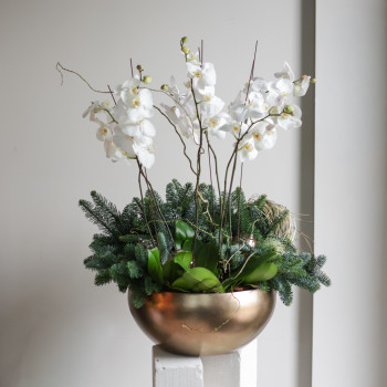 Орхидеи с натуральной хвоей в металлическом кашпо