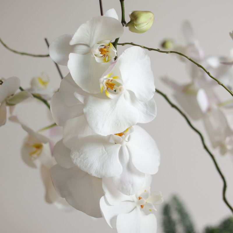 Орхидеи с натуральной хвоей в металлическом кашпо