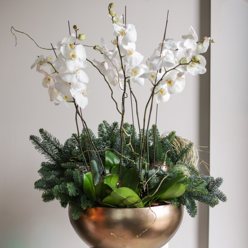 Орхидеи с натуральной хвоей в металлическом кашпо
