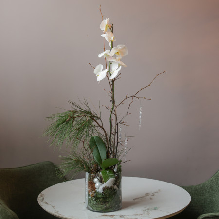 Белая орхидея с хвоей в стеклянном цилиндре