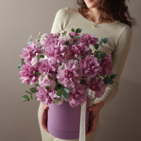 Коробка с французскими сиреневыми розами, маттиолой и эвкалиптом