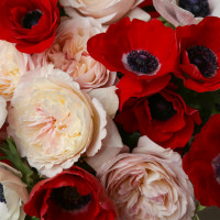 Букет с анемонами и пионовидными розами, среднего размера