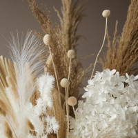 Интерьерная композиция из стабилизированных цветов и сухоцветов в высокой вазе