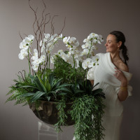 Композиция фитосад с белыми орхидеями и зеленью в стильном кашпо-премиум