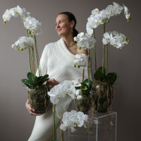 Белая орхидея фаленопсис (ботаническая копия) в стеклянной вазе, S