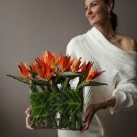 Композиция интерьерная в вазе с искусственной стрелицией