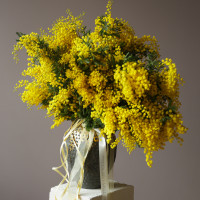 Охапка мимозы (ваза продается отдельно)