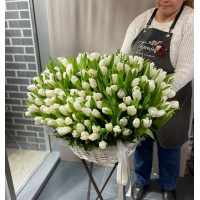Корзина белых тюльпанов, 181 шт.
