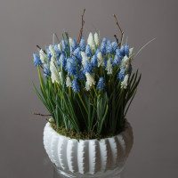 Интерьерная весенняя композиция с ассорти мускари