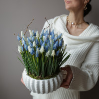 Интерьерная весенняя композиция с ассорти мускари