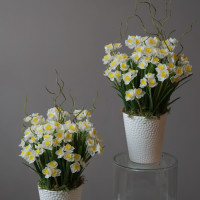 Интерьерная весенняя композиция в кашпо с белыми нарциссами