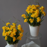 Интерьерная весенняя композиция в кашпо с желтыми нарциссами