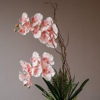 Композиция с розовыми орхидеями и зеленью в стеклянном цилиндре