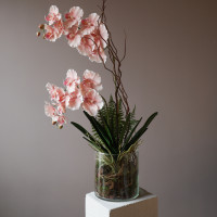 Композиция с розовыми орхидеями и зеленью в стеклянном цилиндре