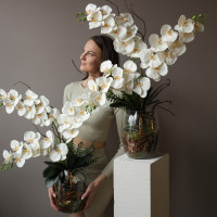 Белая орхидея фаленопсис в стеклянной дизайнерской вазе