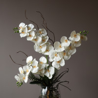 Белая орхидея фаленопсис в стеклянной дизайнерской вазе