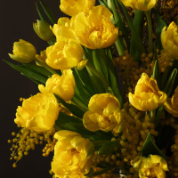 Букет с мимозой и желтыми тюльпанами в дизайнерской вазе