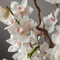 Невероятные белые премиум-орхидеи в дизайнерском кашпо, XXL