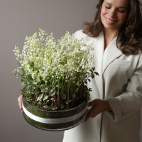 ПРЕМИУМ Ароматные ландыши в стеклянной вазе