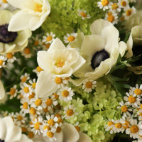 Весенний букет с анемонами, тюльпанами и лаймовой гортензией