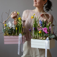 Весенний садик с первоцветами, в бел/роз ящике размер L