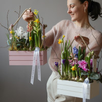 Весенний садик с первоцветами, в бел/роз ящике размер L