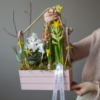 Весенний садик с первоцветами, в бел/роз ящике размер L