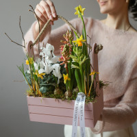 Весенний садик с первоцветами, в бел/роз ящике размер L