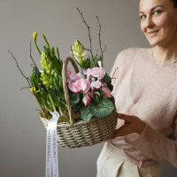 Весенний садик с гиацинтами и цикламенами в корзинке