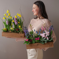 Весенний садик с нарциссами в длинном ящичке