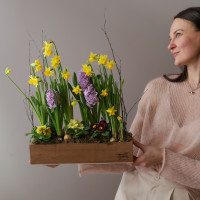 Весенний садик с нарциссами в длинном ящичке