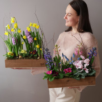 Весенний садик с первоцветами в длинном ящичке